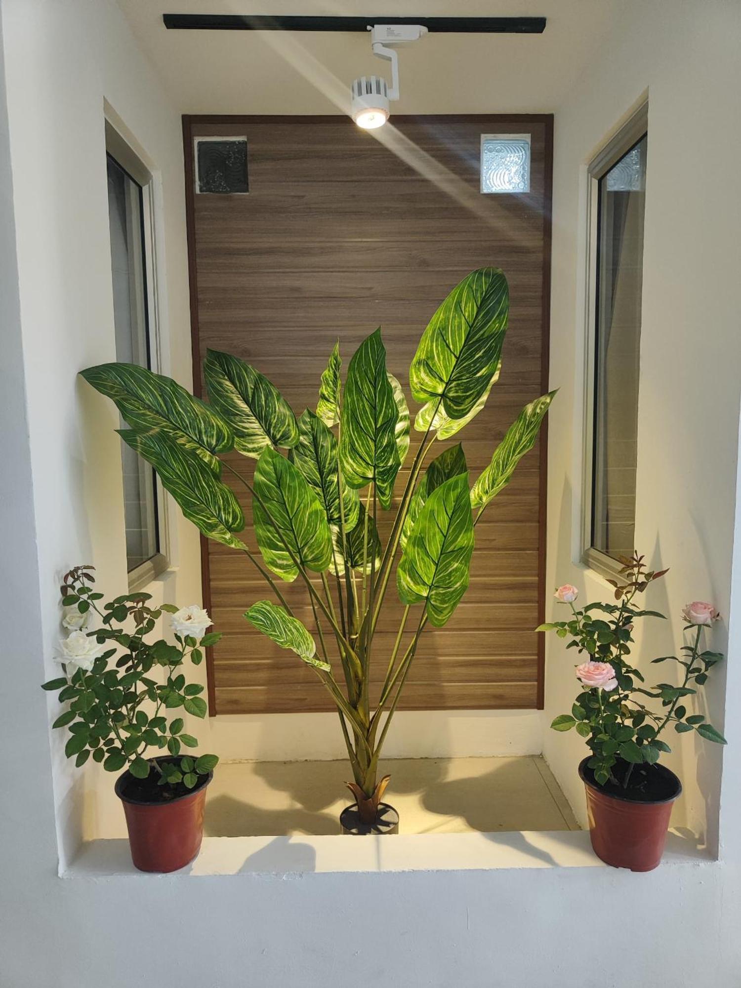 Greenery Rooms تاواو المظهر الخارجي الصورة